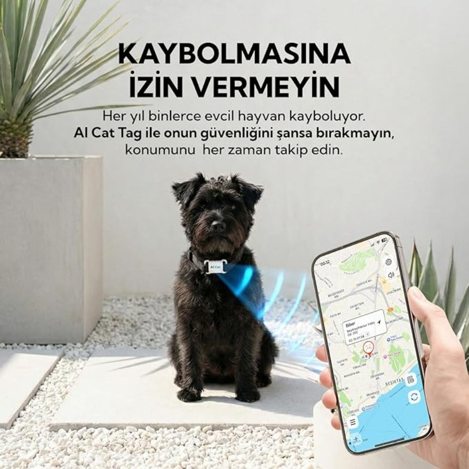 Hayeni (IOS/Android Uyumlu) Kedi-Köpek için Takip Cihazı + Uyumlu Tasma Seti